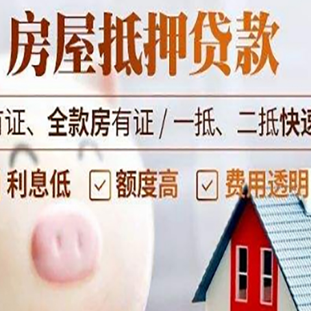 宁津贷款助贷公司新渝启服成立时间久